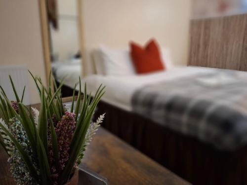 The Green Light House Studio 24 – Free Private Parking hotel in Portsmouth