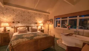 Albero Bedrooms Pay Later Hotels