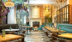 Black Ivy Pay Later Hotels