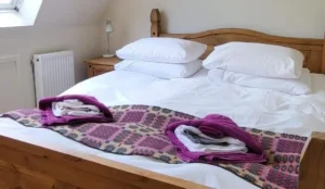 Plas Penaeldroch Manor Pay Later Hotels