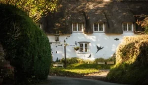 The Brace of Pheasants Pay Later Hotels