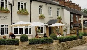The Dog in Over Peover Pay Later Hotels