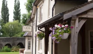 The Lion Pay Later Hotels