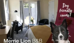 The Merrie Lion Pay Later Hotels