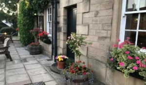 The Tavern Pay Later Hotels